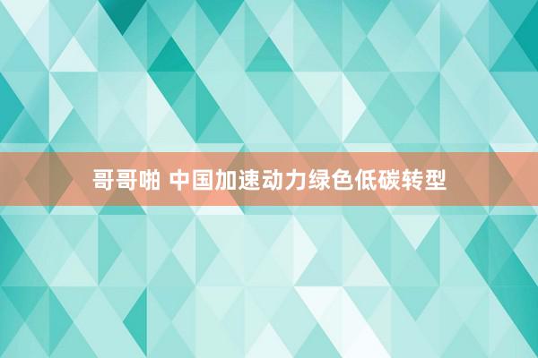 哥哥啪 中国加速动力绿色低碳转型