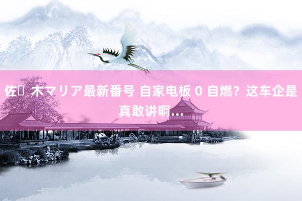 佐々木マリア最新番号 自家电板 0 自燃？这车企是真敢讲啊...