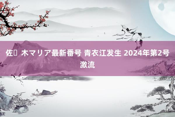 佐々木マリア最新番号 青衣江发生 2024年第2号激流