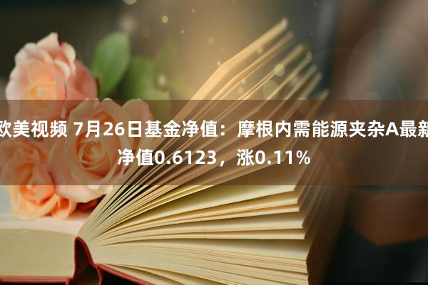 欧美视频 7月26日基金净值：摩根内需能源夹杂A最新净值0.6123，涨0.11%