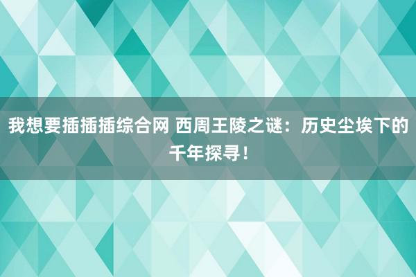 我想要插插插综合网 西周王陵之谜：历史尘埃下的千年探寻！