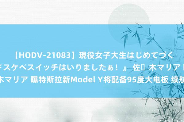 【HODV-21083】現役女子大生はじめてづくしのセックス 『私のドスケベスイッチはいりましたぁ！』 佐々木マリア 曝特斯拉新Model Y将配备95度大电板 续航有谬误进步?