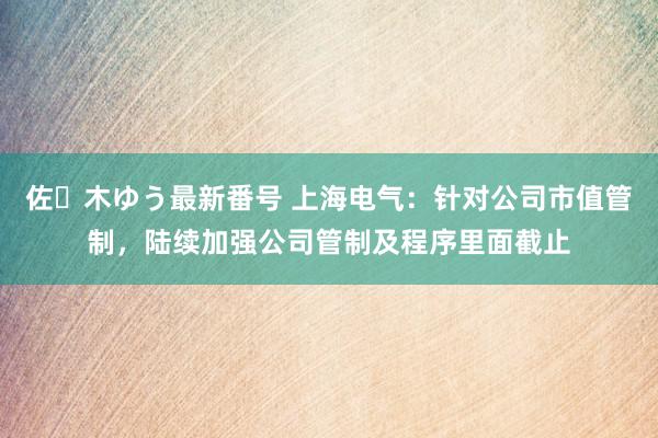 佐々木ゆう最新番号 上海电气：针对公司市值管制，陆续加强公司管制及程序里面截止