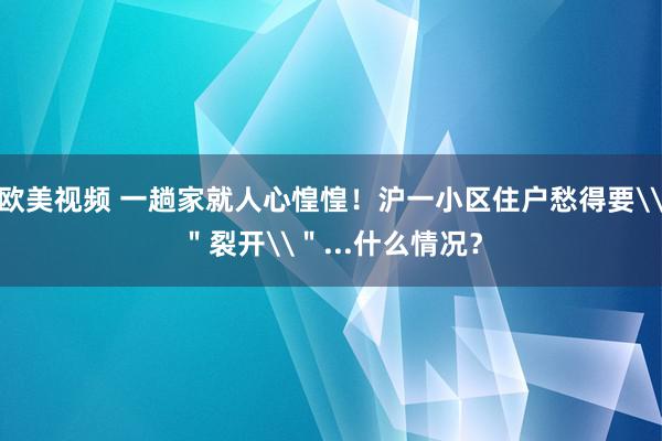 欧美视频 一趟家就人心惶惶！沪一小区住户愁得要\＂裂开\＂...什么情况？