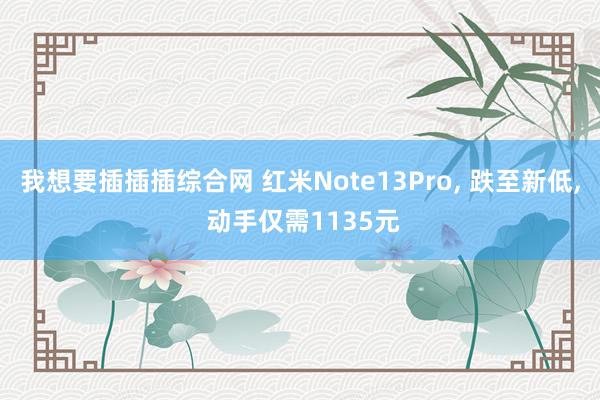 我想要插插插综合网 红米Note13Pro, 跌至新低, 动手仅需1135元