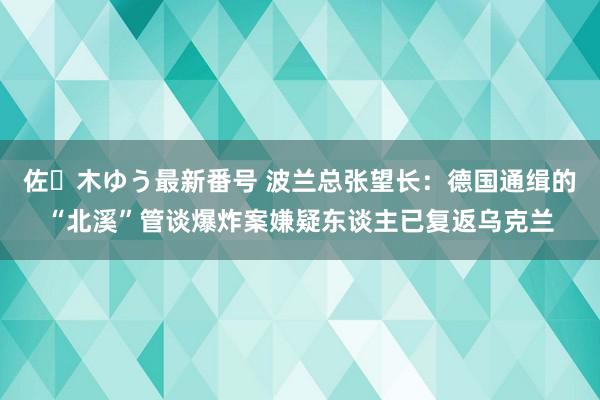 佐々木ゆう最新番号 波兰总张望长：德国通缉的“北溪”管谈爆炸案嫌疑东谈主已复返乌克兰