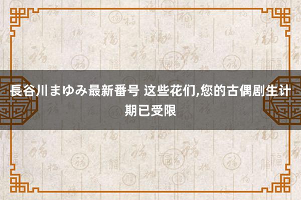 長谷川まゆみ最新番号 这些花们,您的古偶剧生计期已受限