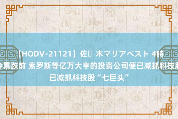 【HODV-21121】佐々木マリアベスト 4時間 早在夏令暴跌前 索罗斯等亿万大亨的投资公司便已减抓科技股“七巨头”