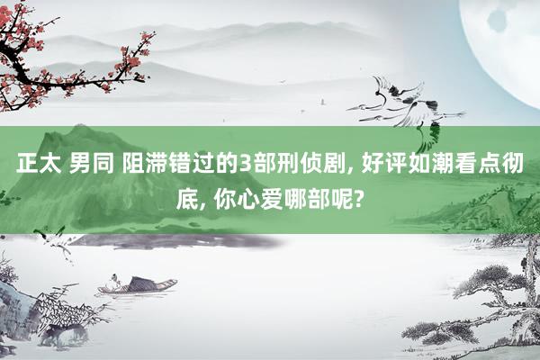 正太 男同 阻滞错过的3部刑侦剧, 好评如潮看点彻底, 你心爱哪部呢?