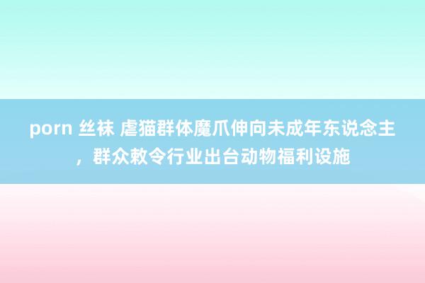 porn 丝袜 虐猫群体魔爪伸向未成年东说念主，群众敕令行业出台动物福利设施