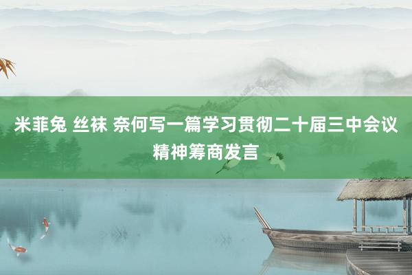 米菲兔 丝袜 奈何写一篇学习贯彻二十届三中会议精神筹商发言