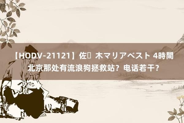 【HODV-21121】佐々木マリアベスト 4時間 北京那处有流浪狗拯救站？电话若干？