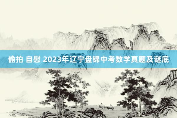 偷拍 自慰 2023年辽宁盘锦中考数学真题及谜底