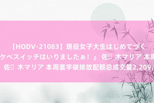 【HODV-21083】現役女子大生はじめてづくしのセックス 『私のドスケベスイッチはいりましたぁ！』 佐々木マリア 本周寰宇碳排放配额总成交量2,209,959吨