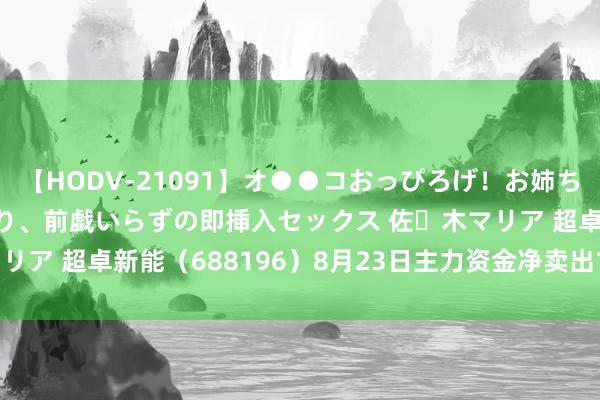 【HODV-21091】オ●●コおっぴろげ！お姉ちゃん 四六時中濡れまくり、前戯いらずの即挿入セックス 佐々木マリア 超卓新能（688196）8月23日主力资金净卖出123.28万元