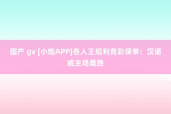 国产 gv [小炮APP]各人王绍利竞彩保举：汉诺威主场难胜