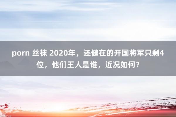 porn 丝袜 2020年，还健在的开国将军只剩4位，他们王人是谁，近况如何？