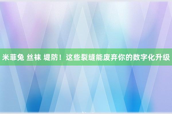 米菲兔 丝袜 堤防！这些裂缝能废弃你的数字化升级