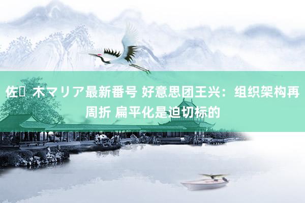 佐々木マリア最新番号 好意思团王兴：组织架构再周折 扁平化是迫切标的