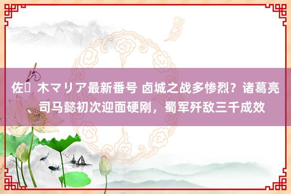 佐々木マリア最新番号 卤城之战多惨烈？诸葛亮、司马懿初次迎面硬刚，蜀军歼敌三千成效