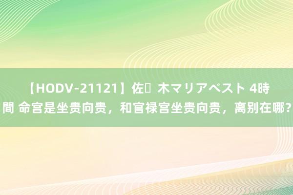 【HODV-21121】佐々木マリアベスト 4時間 命宫是坐贵向贵，和官禄宫坐贵向贵，离别在哪？